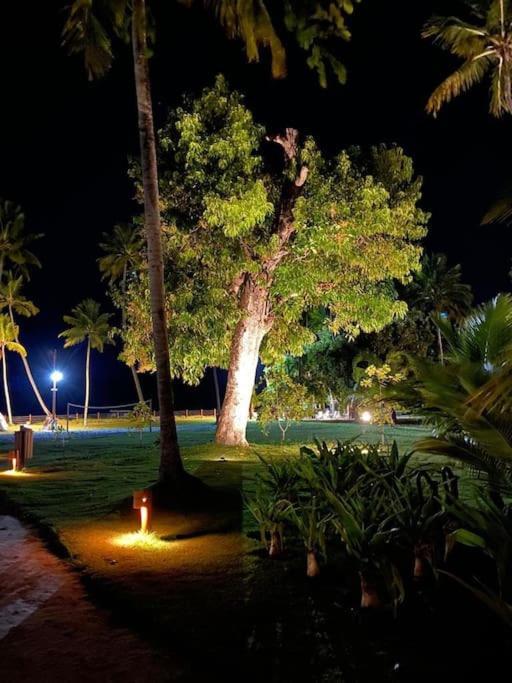 Eco Resort 普拉亚多斯卡内罗斯 外观 照片